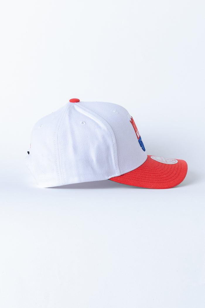 2 TONE 2.0 PRO SNAPBACK HWC KINGS