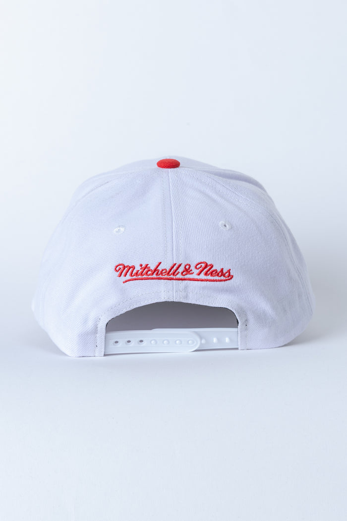 2 TONE 2.0 PRO SNAPBACK HWC KINGS