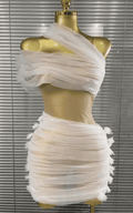 Ava One Shoulder Mesh Mini Dress