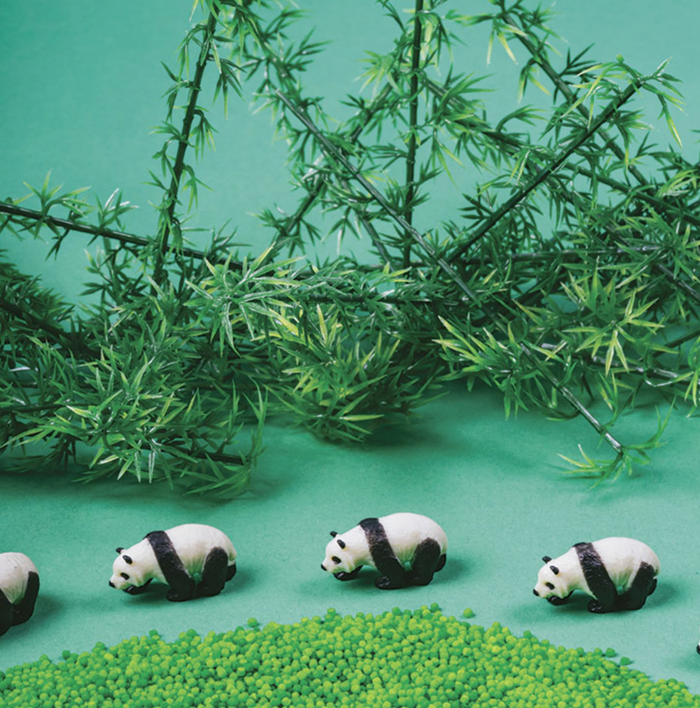 Bouteille sensorielle | Panda