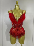 Claire rhinestone feather tassel mesh bodysuit for women. Sexy performance outfit for nightlife, dance, and stage events.