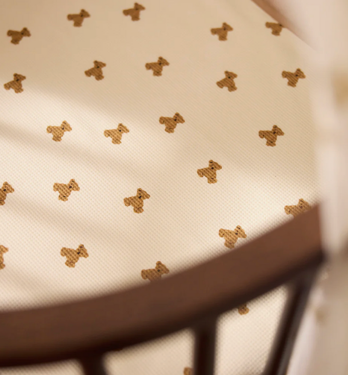 Couverture | Teddy Bear