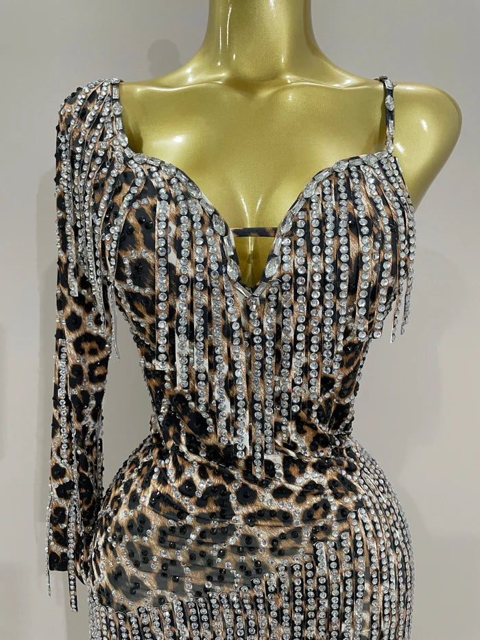 Turn heads in the Daniela leopard print rhinestone tassel mini dress. One-shoulder stretch party dress for birthdays, clubs, and special events.