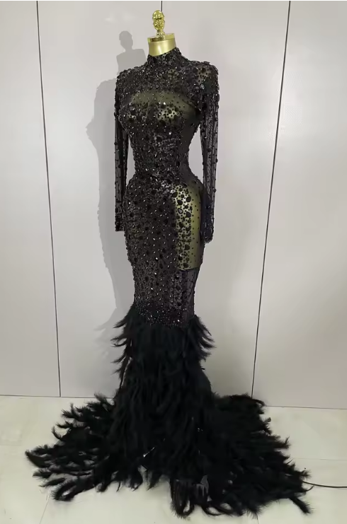 Elaine long sleeve sheer black maxi dress with sparkling crystals and luxury feather trim on the sleeves and hem.