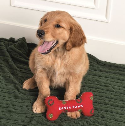 Embroidered Dog Bone Toys 6 STYLES