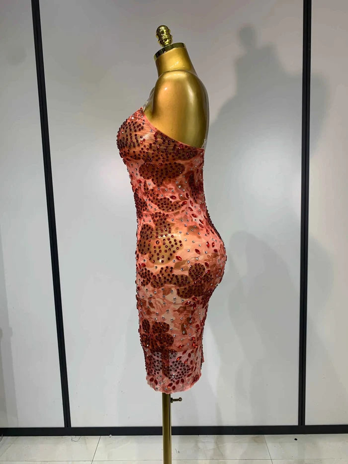 Jada Luxury Rhinestone Bodycon Birthday Dress