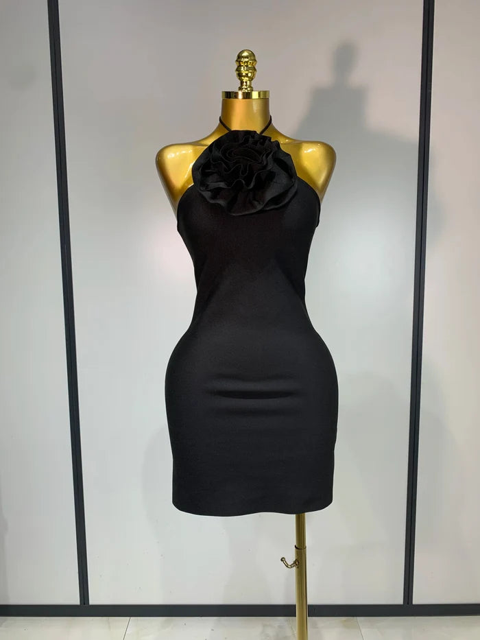 Jae black red sleeveless bodycon bandage mini dress for women. Elegant party outfit for birthdays, nightlife, and evening events.