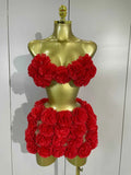 Jaslyn Red 3D Flowers Top Mini Dress Two Piece Set