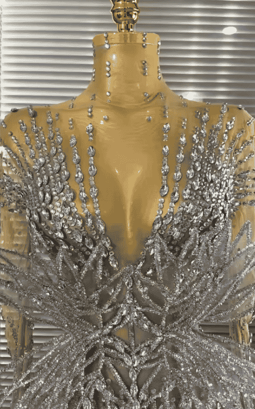 Juliana 3D Butterfly Long Sleeve Mesh Bodycon Dress for Women