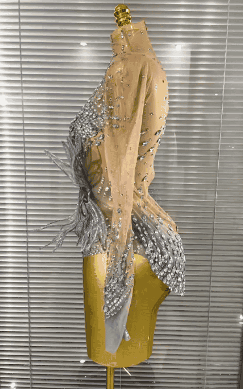 Juliana 3D Butterfly Long Sleeve Mesh Bodycon Dress for Women