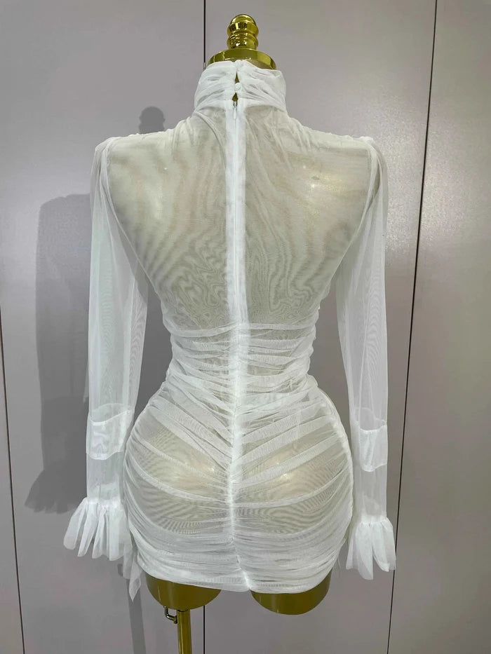 Paula White High Collar Mesh Ruffle Long Sleeve Mini Dress