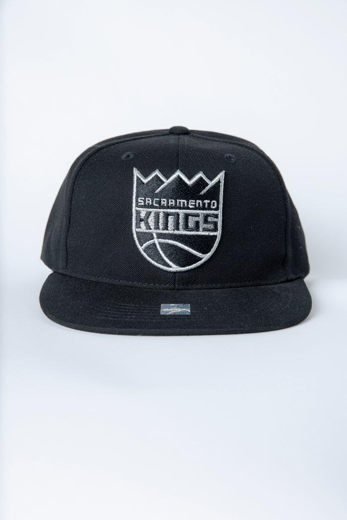 Primary Metallic Flatbill Snapback