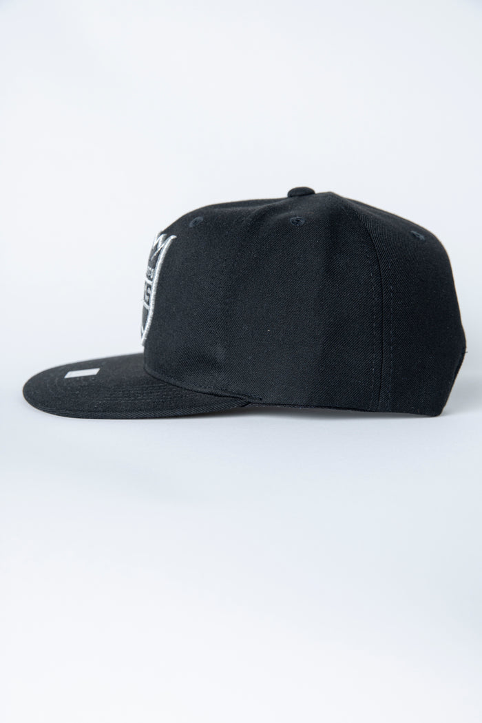 Primary Metallic Flatbill Snapback