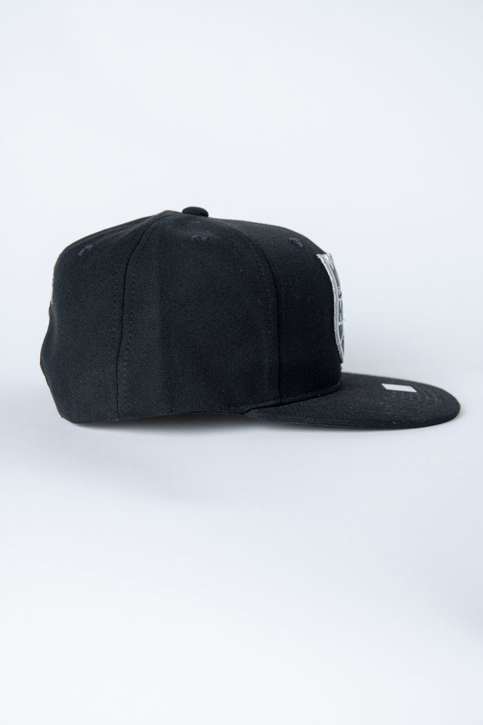 Primary Metallic Flatbill Snapback