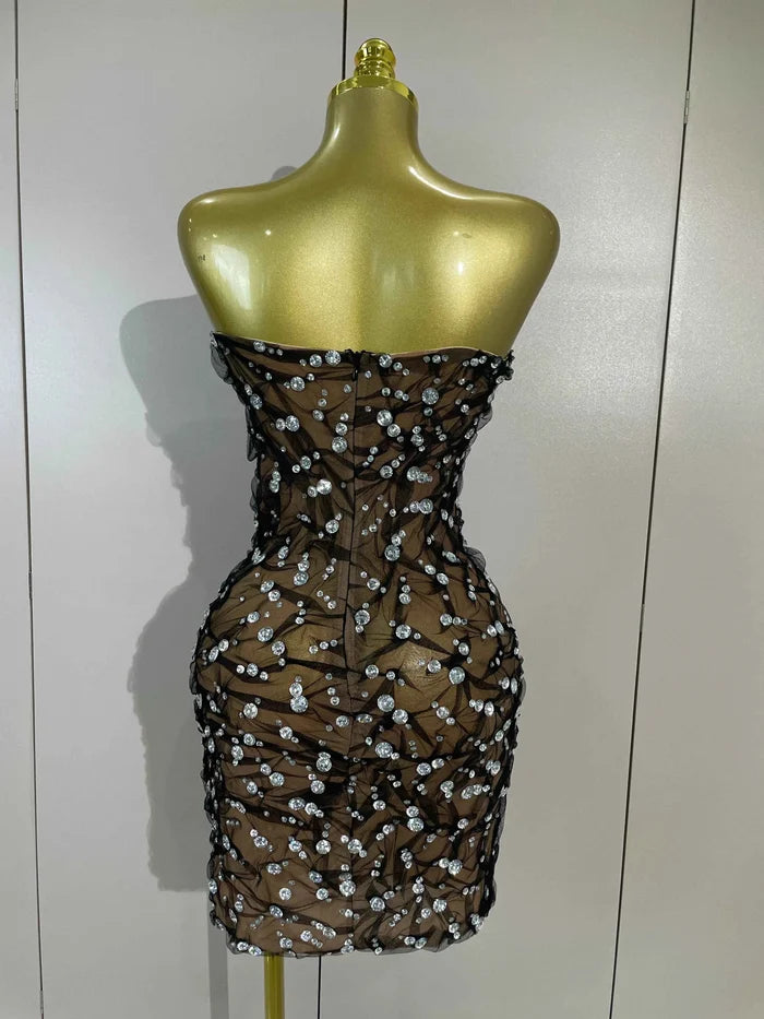 Reiley Rhinestone Strapless Mesh See Through Mini Dress