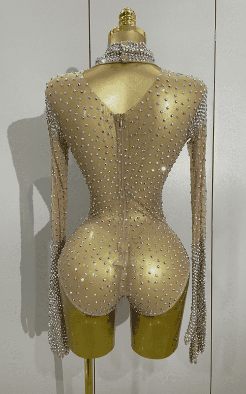 Sienna rhinestone long sleeve bodysuit set with gloves for women. Sexy luxury outfit for birthdays, nightclub, and stage performances.