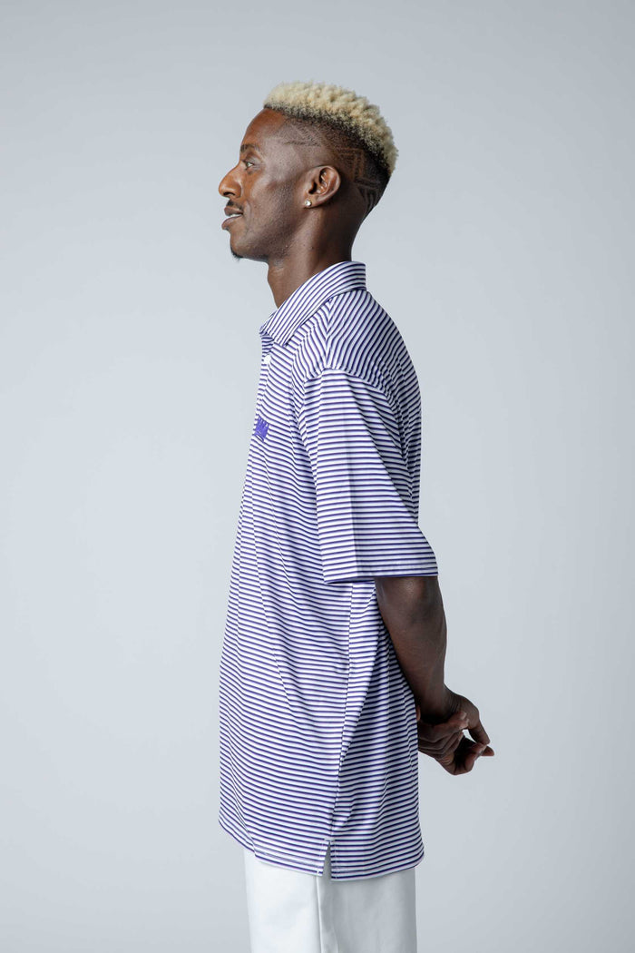 Skills Striped Polo