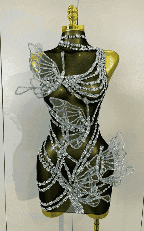 Toni sparkly silver diamond butterfly mesh mini dress for women. Sexy sheer party outfit for birthdays, nightlife, and stage wear.