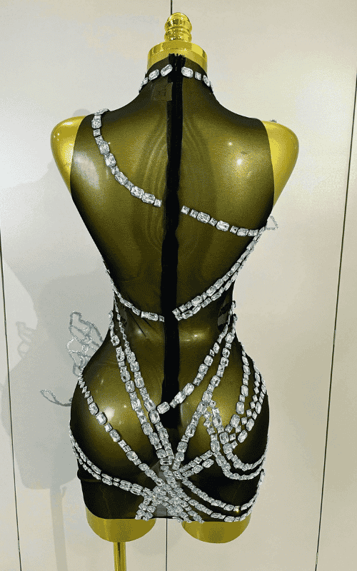 Toni sparkly silver diamond butterfly mesh mini dress for women. Sexy sheer party outfit for birthdays, nightlife, and stage wear.