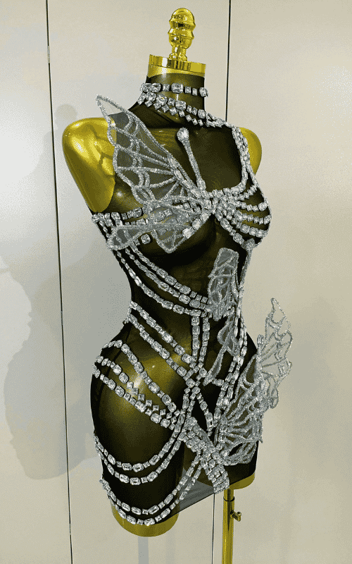Toni sparkly silver diamond butterfly mesh mini dress for women. Sexy sheer party outfit for birthdays, nightlife, and stage wear.
