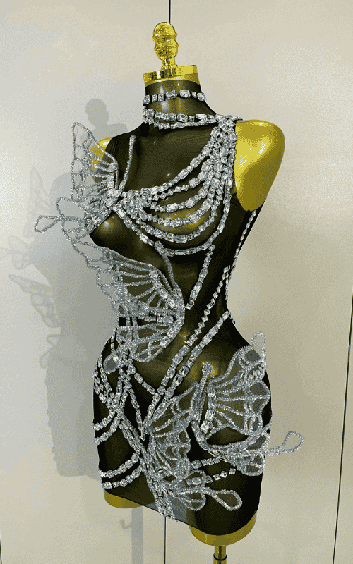 Toni sparkly silver diamond butterfly mesh mini dress for women. Sexy sheer party outfit for birthdays, nightlife, and stage wear.