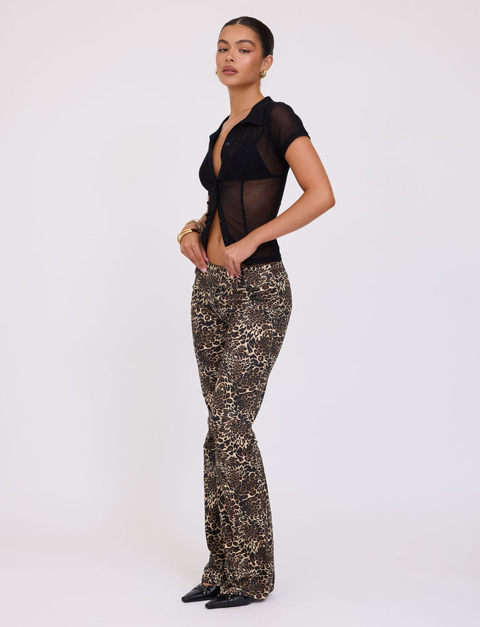 A person stands against a plain background, wearing a sheer black short-sleeved top and the VESPER PANT - MULTI : LEOPARD from TIGERMIST. They have pulled-back hair, accessorized with gold bangles and hoop earrings, and are wearing black pointed-toe shoes.